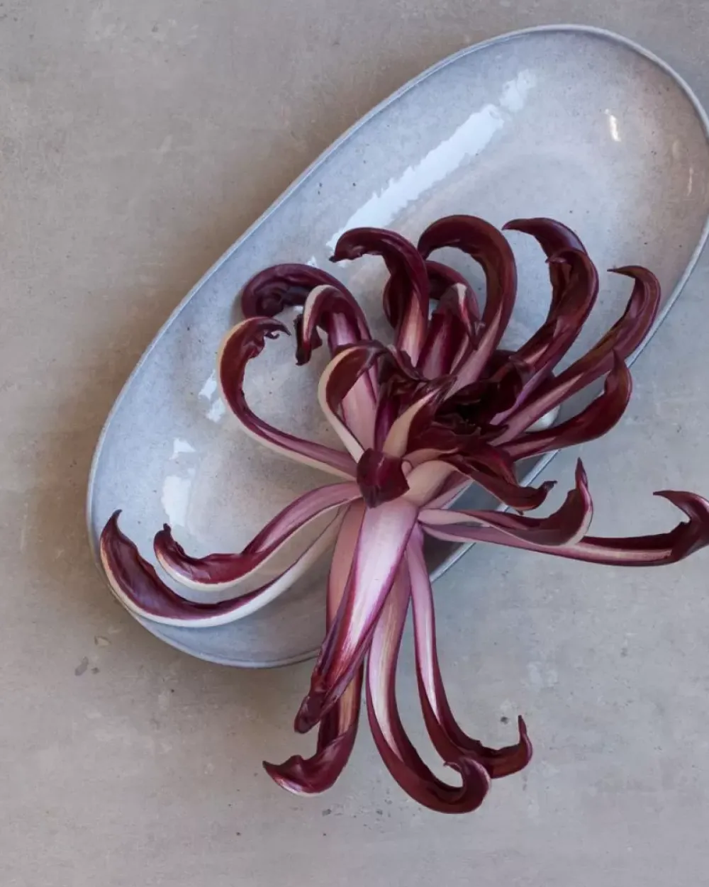 Motel a Miio Mae Servierplatte L Grau Online